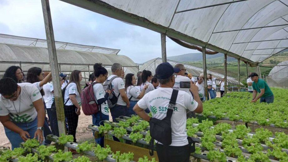 Técnico em Agronegócio